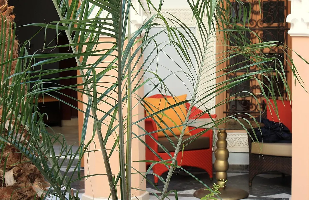 Riad Siwan-1